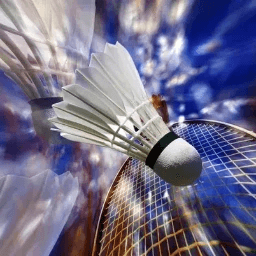 Badminton Top12 Poule 1 J2 — Badminton Associatif Choletais vs Flume Ille Badminton